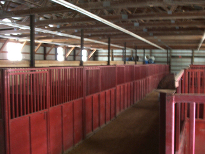 Carver County Fair Horse Barn