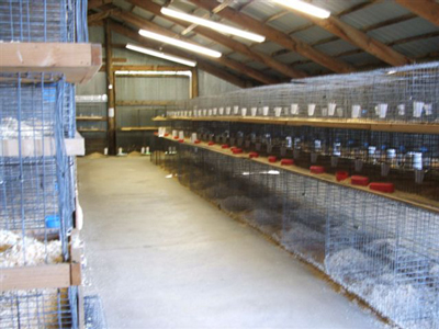 Carver County Fair Poultry Barn