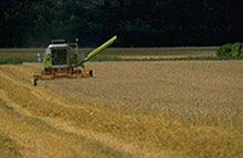 a combine driving in a field