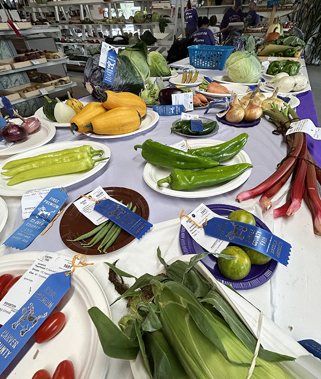 a table full of blue ribbon vegetables at the Carver County Fair