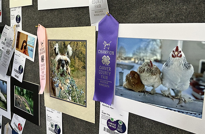 photography exhibits in the Carver County Fair Agriculture Building