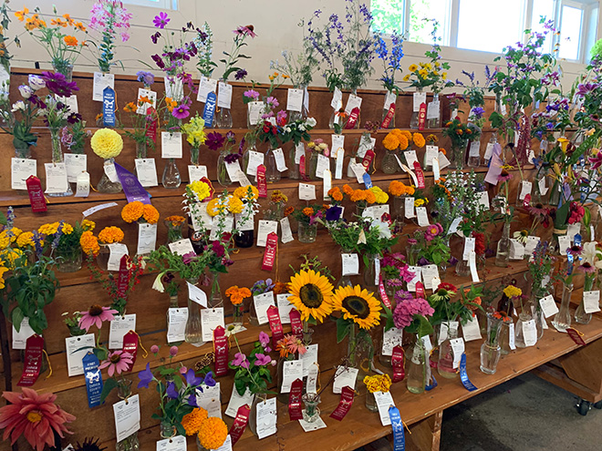 floral exhibits at the Carver County Fair