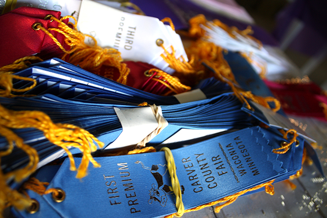 Carver County Fair prize ribbons