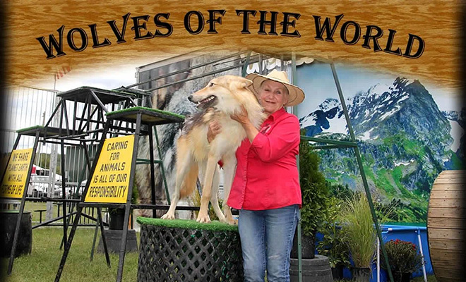 Wolves of the World text over a woman posing with a light-colored wolf