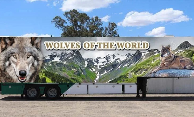 a semi trailer with Wolves of the World graphics on the side